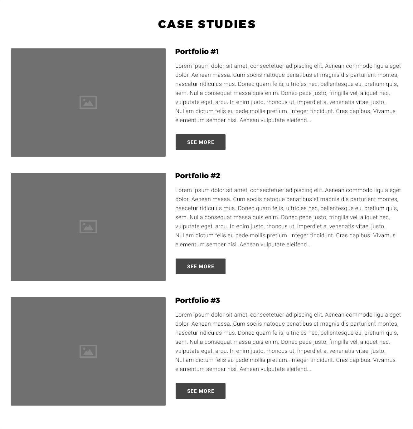 Case Studies / Portfolio 3