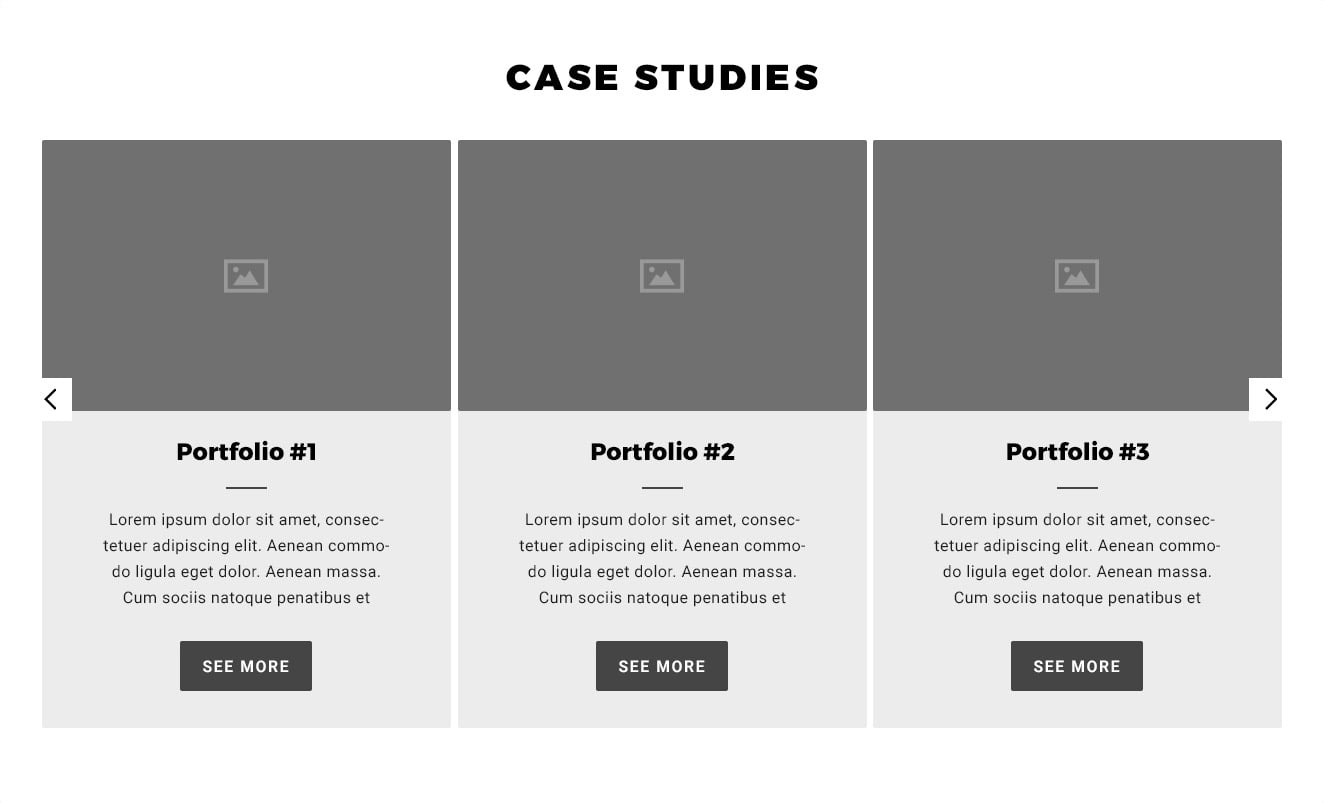Case Studies / Portfolio 5